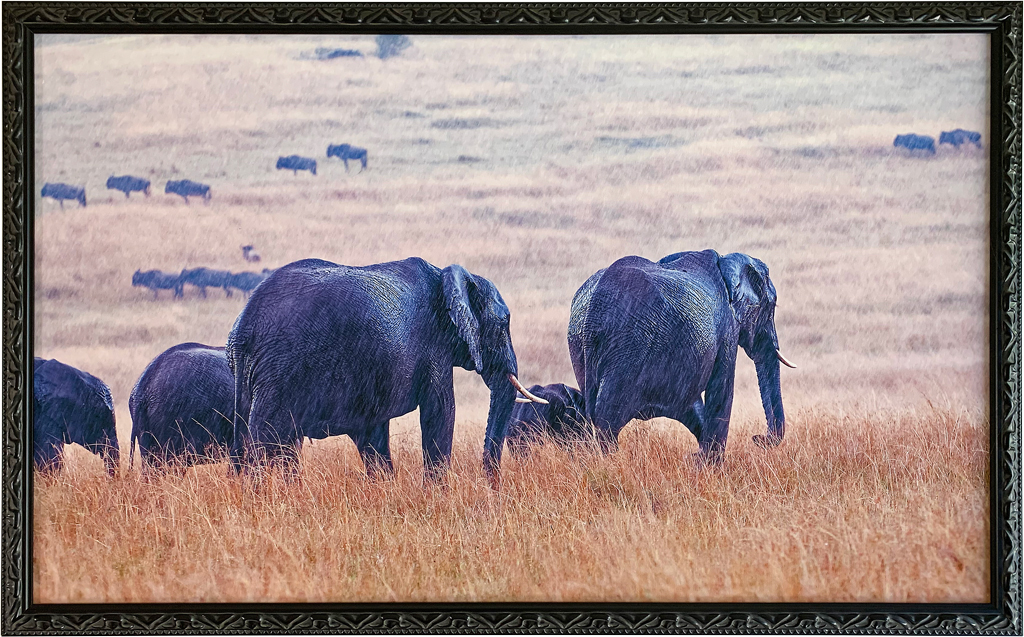canvas giclee framed african wildlife art